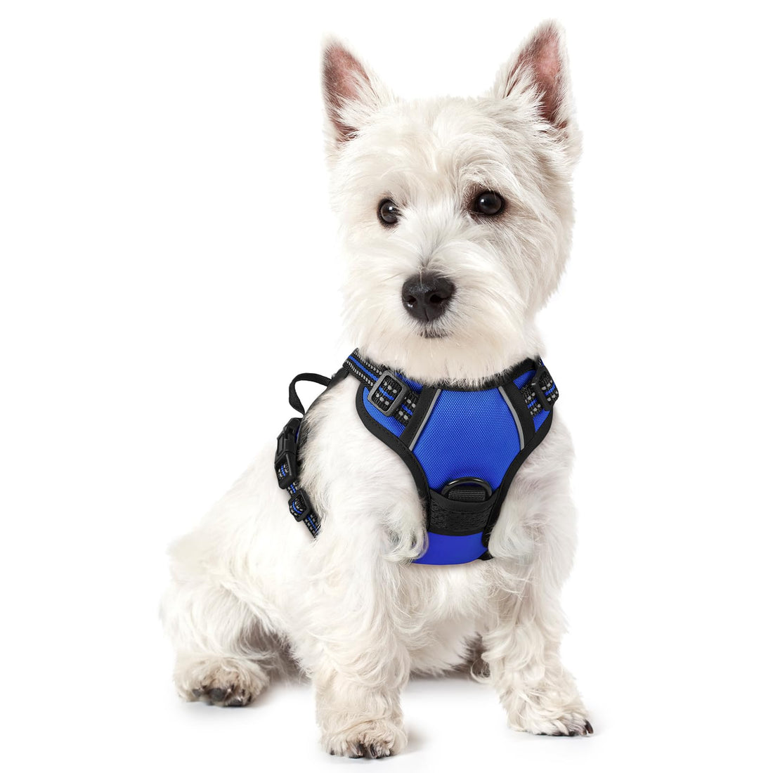 rabbitgoo Hundegeschirr Grosse Hunde, Anti Zug Geschirr mit Kontrolle, No Pull Verstellbar Hundegeschirr Mittelgroße Hunde, Atmungsaktiv Reflexstreifen Brustgeschirr Sichere Führung, Schwarz, L