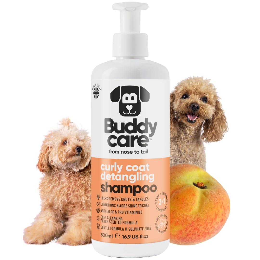 2in1 Hundeshampoo und Conditioner von Buddycare (500ml) - Praktisches Hundeshampoo langhaar und welpen Shampoo Mit Aloe Vera und Pro-Vitamin B5 Rückfettendes Shampoo Für Alle Hunderassen