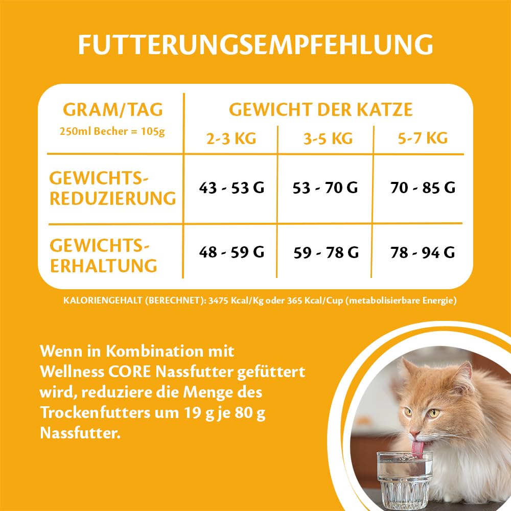 Wellness CORE Sterilised Ocean 4 kg, Lachs – Katzenfutter Trocken für sterilisierte Katzen, getreidefrei, natürlich, hypoallergen, proteinreich, unterstützt gesunde Haut und glänzendes Fell