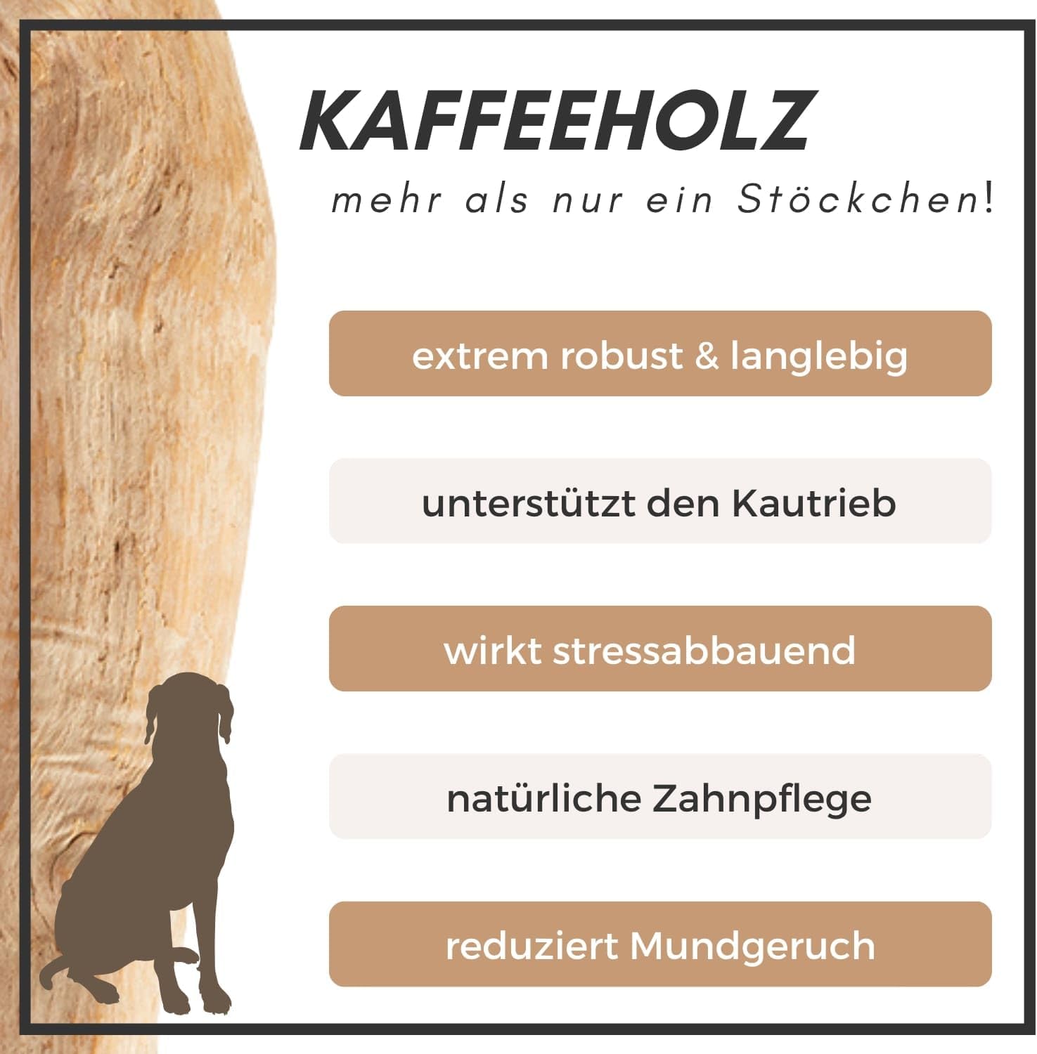 Supravit Natürlicher Kauknochen aus Kaffeeholz für Welpen XS | Mehr als EIN Holzstäbchen - spannendes Welpen Kauspielzeug & langanhaltende Beschäftigung | Kaustab Kauholz