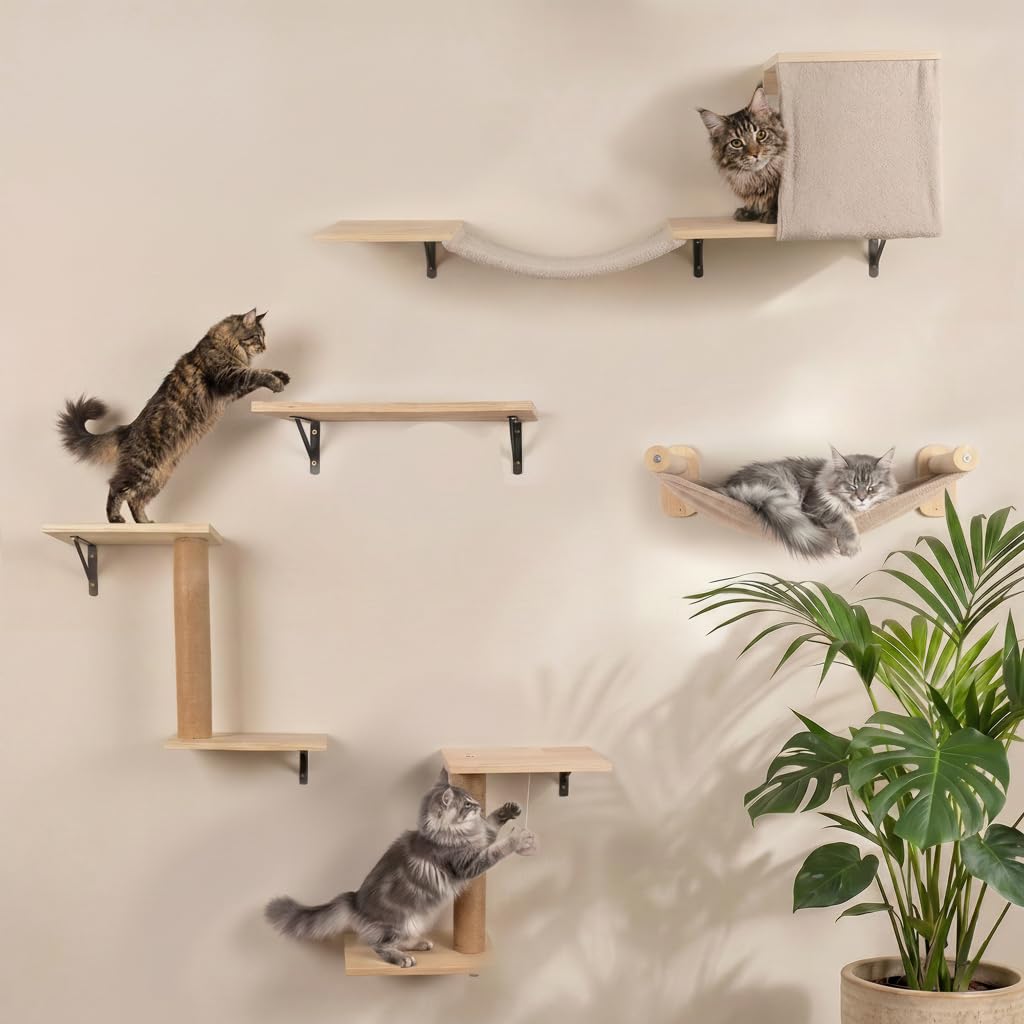WOOWOOD® 2X Kletterwand Katzen - 3X Katzentreppe Wand [Beste Stabilität] - Kratzbaum Wand, Hängematte Katze, Wandkratzbaum, Katzenmöbel, Katzenwand, Katzen Kletterwand Set (5 teilig)