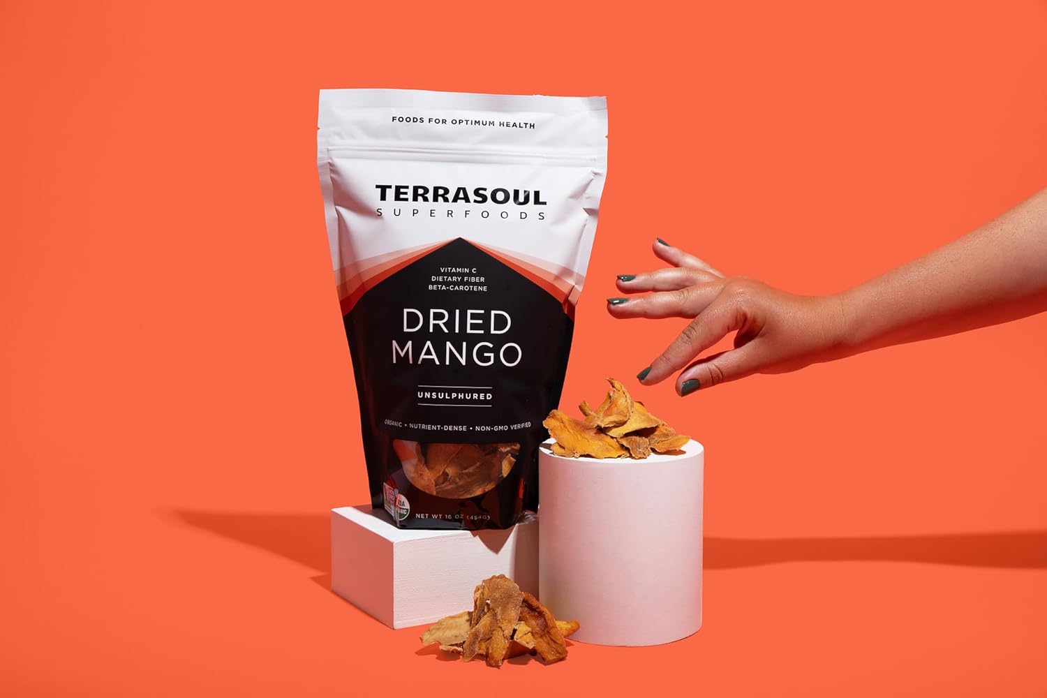 Terrasoul Superfoods Organic Dried Mango Slices, 16 Oz - Naturally Sweet & Tart | No-Added Sugar | Healthy Prebiotic