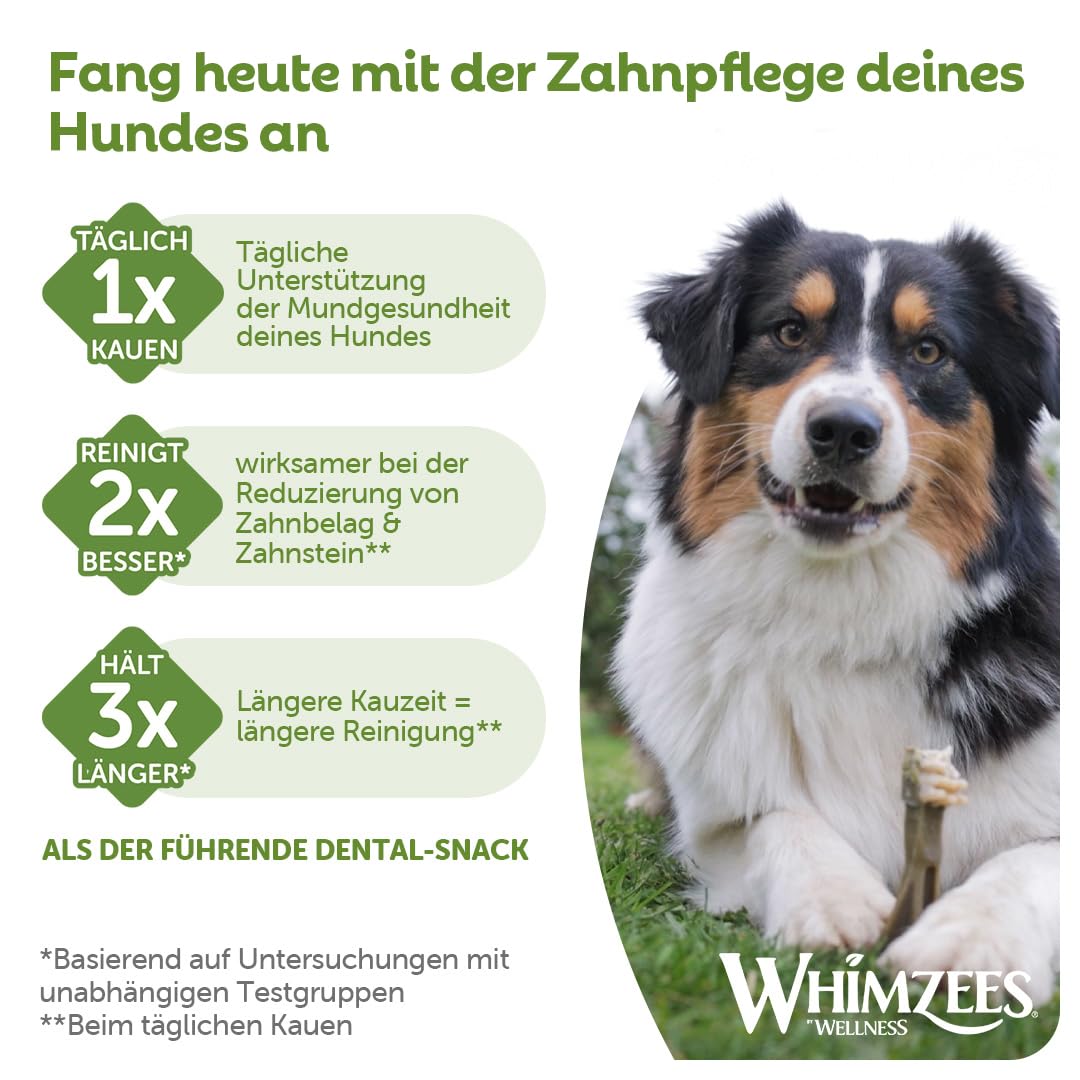 WHIMZEES Natürliche Getreidefreie Zahnpflegesnacks, Kaustangen für Hunde, Gemischte Vielfaltsbox, L, 14 x 60 g