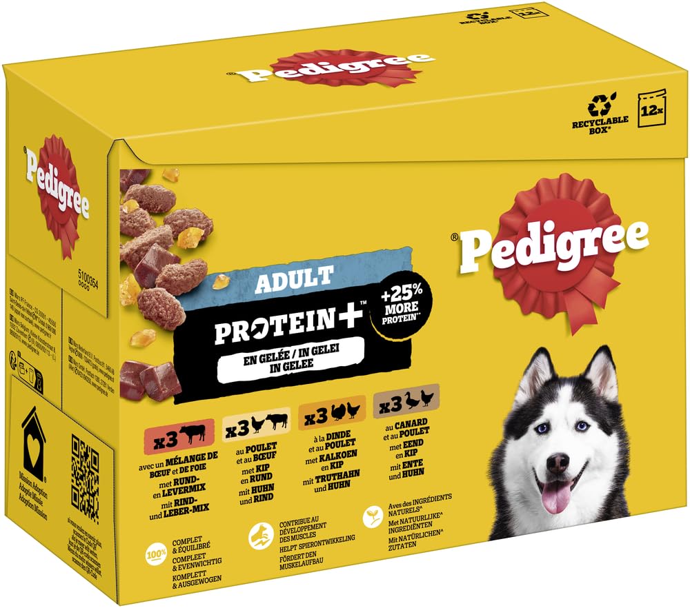PEDIGREE DOGCARE Hundefutter Portionsbeutel Chunks in Soße Adult 40 x 100g