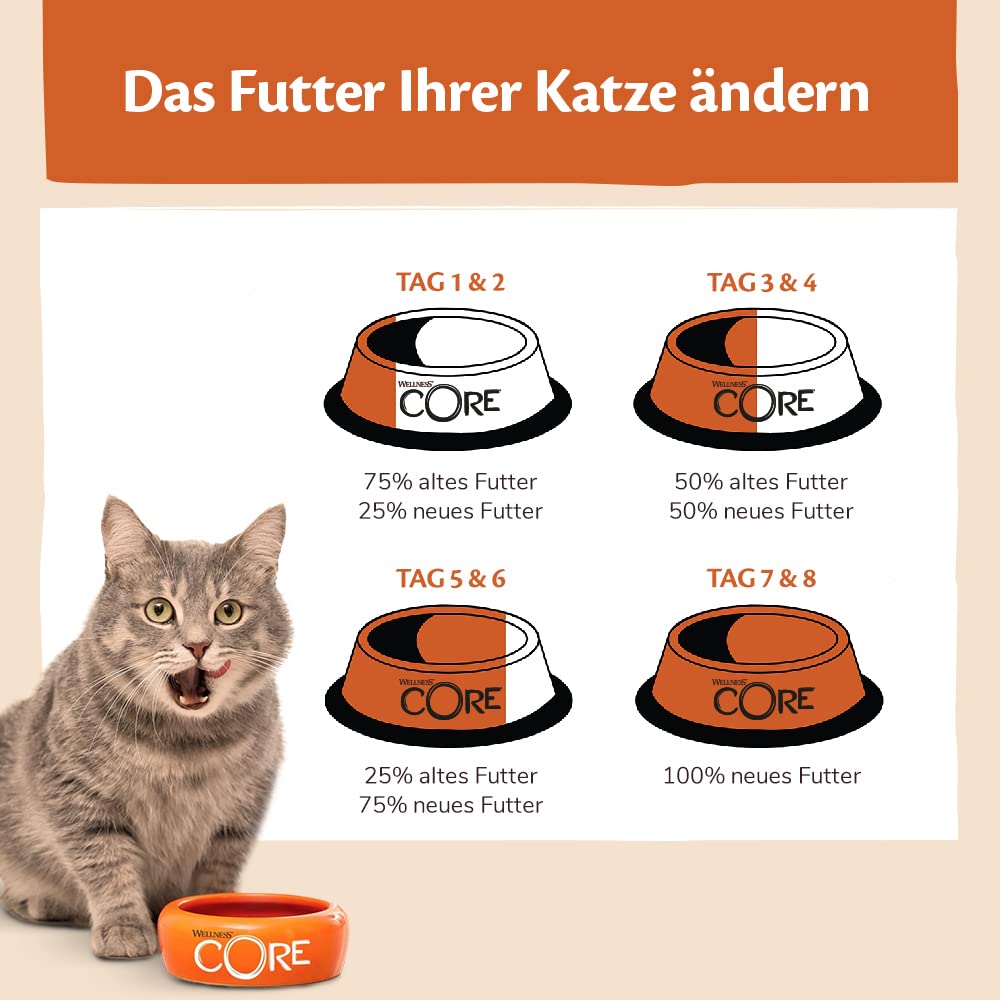 Wellness CORE Sterilised Ocean 4 kg, Lachs – Katzenfutter Trocken für sterilisierte Katzen, getreidefrei, natürlich, hypoallergen, proteinreich, unterstützt gesunde Haut und glänzendes Fell
