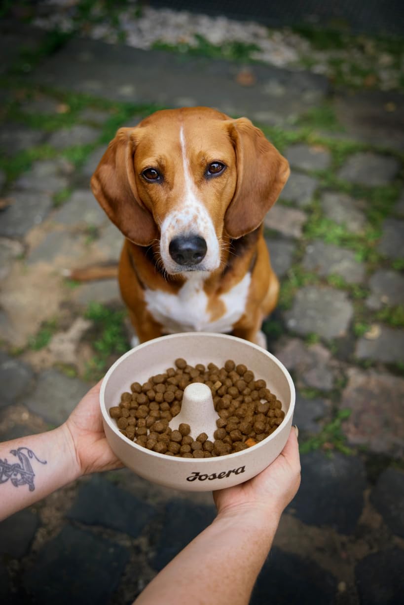 JOSERA Adult Light & Vital Huhn (1 x 12,5 kg) | Premium Trockenfutter für ausgewachsene Hunde | mit Erbse | wenig Fett & viel Protein zur Gewichtskontrolle | leicht verdaulich | weizenfrei |1er Pack
