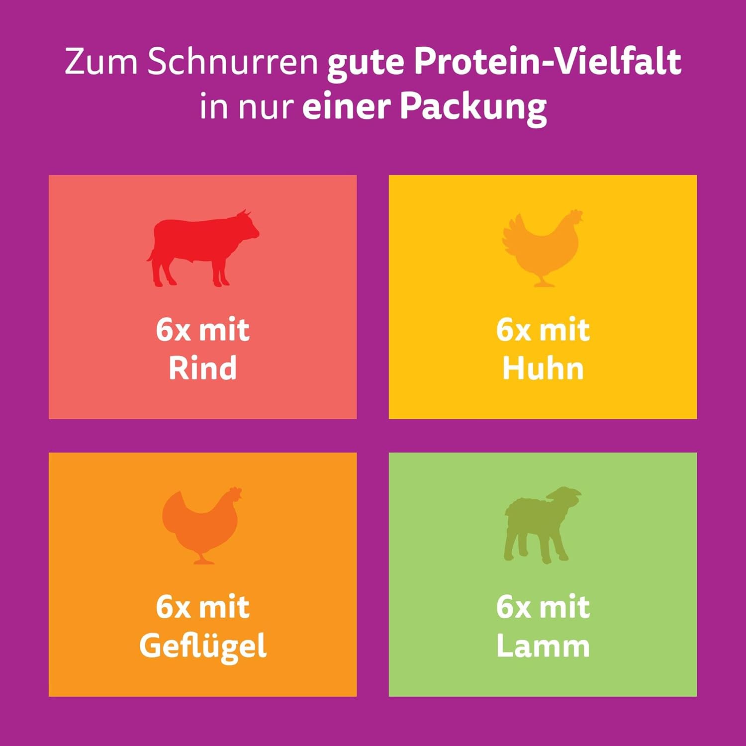Whiskas 1+ Katzennassfutter Ragout Geflügel Auswahl in Gelee, 40x85g (1 Packung) – Hochwertiges Nassfutter für ausgewachsene Katzen in 40 Portionsbeuteln