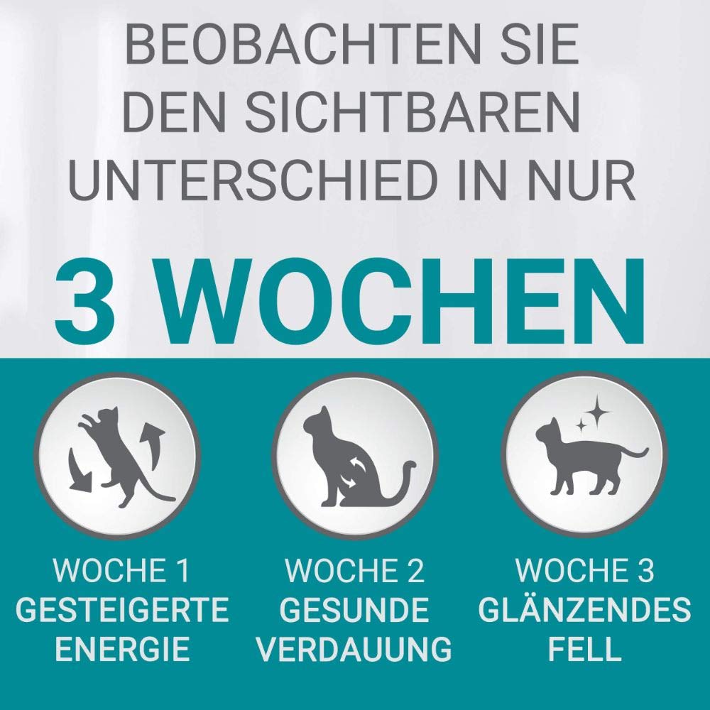 PURINA ONE BIFENSIS Adult Katzenfutter trocken, reich an Huhn, 1er Pack (1 x 5,7kg)