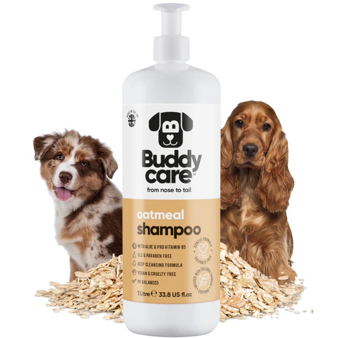 2in1 Hundeshampoo und Conditioner von Buddycare (500ml) - Praktisches Hundeshampoo langhaar und welpen Shampoo Mit Aloe Vera und Pro-Vitamin B5 Rückfettendes Shampoo Für Alle Hunderassen