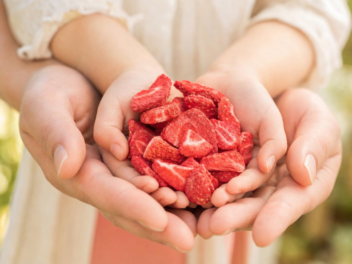EWL Naturprodukte ERDBEEREN GEFRIERGETROCKNET 300g-leckere, schonend gefriergetrocknete Erdbeeren in Scheiben, frei von Zusatzstoffen -Deutsche Abfüllung- getrocknete Erdbeeren getrocknete Früchte