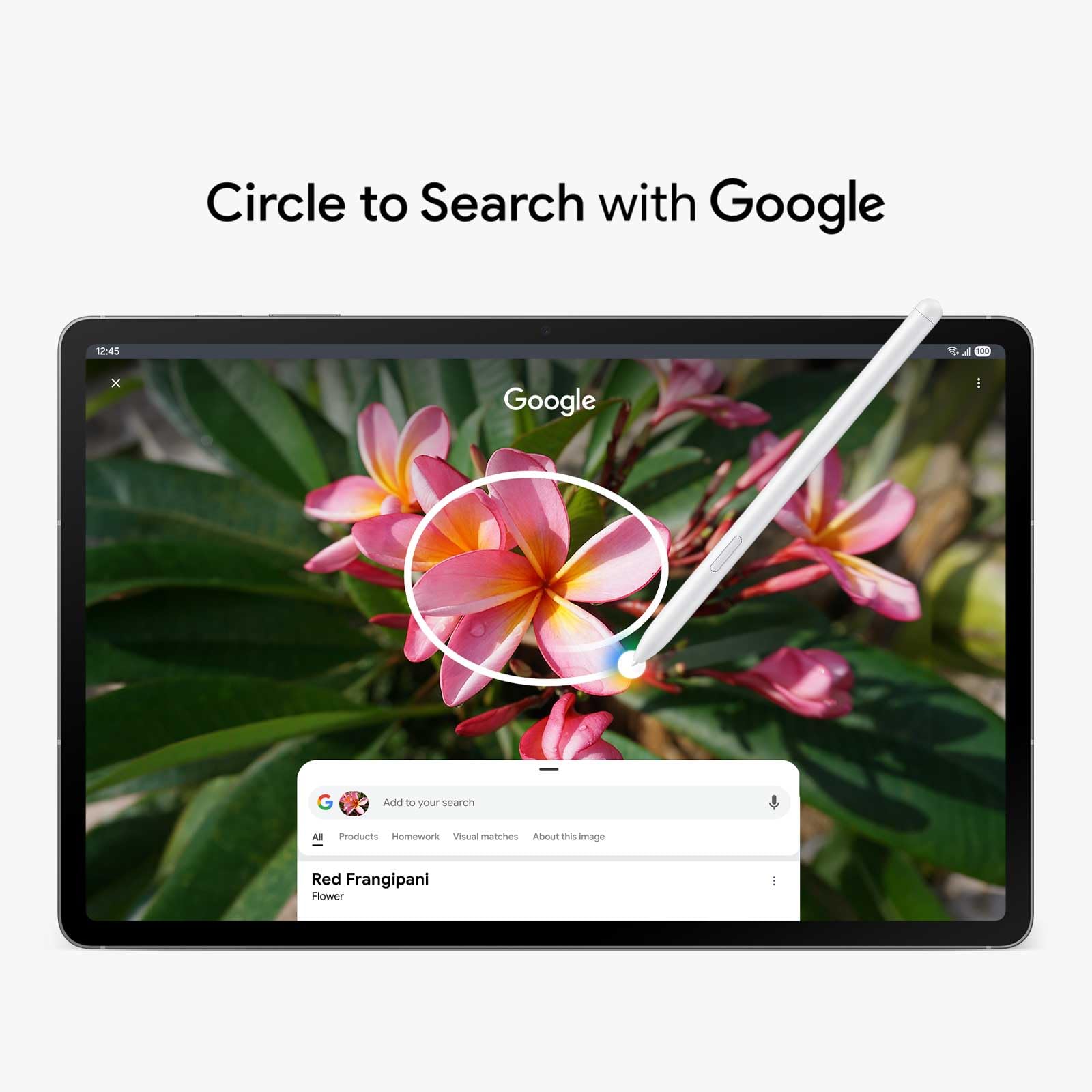 Samsung Galaxy Tab S10 Lite, 6GB RAM, 128GB, 2TB Expand, Long Battery Life, 10.9” LCD, S Pen for Note-Taking, Exynos 1380, Circle to Search, AI Tools, Gray
