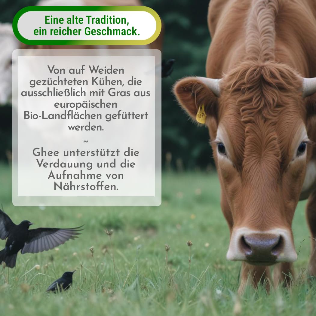 Exponatura Bio-Ghee - Geklärte Butter nach alter ayurvedischer Rezeptur - nur aus der Milch von Weidekühen - laktosefrei, extrem bekömmlich (500 g, Ghee)