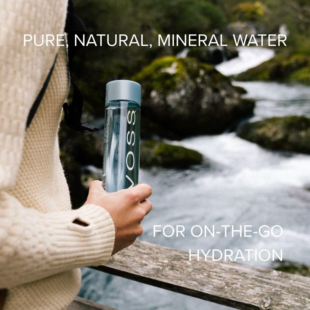 Voss STILL Gletscher Wasser in Glasflasche 0,8 Liter