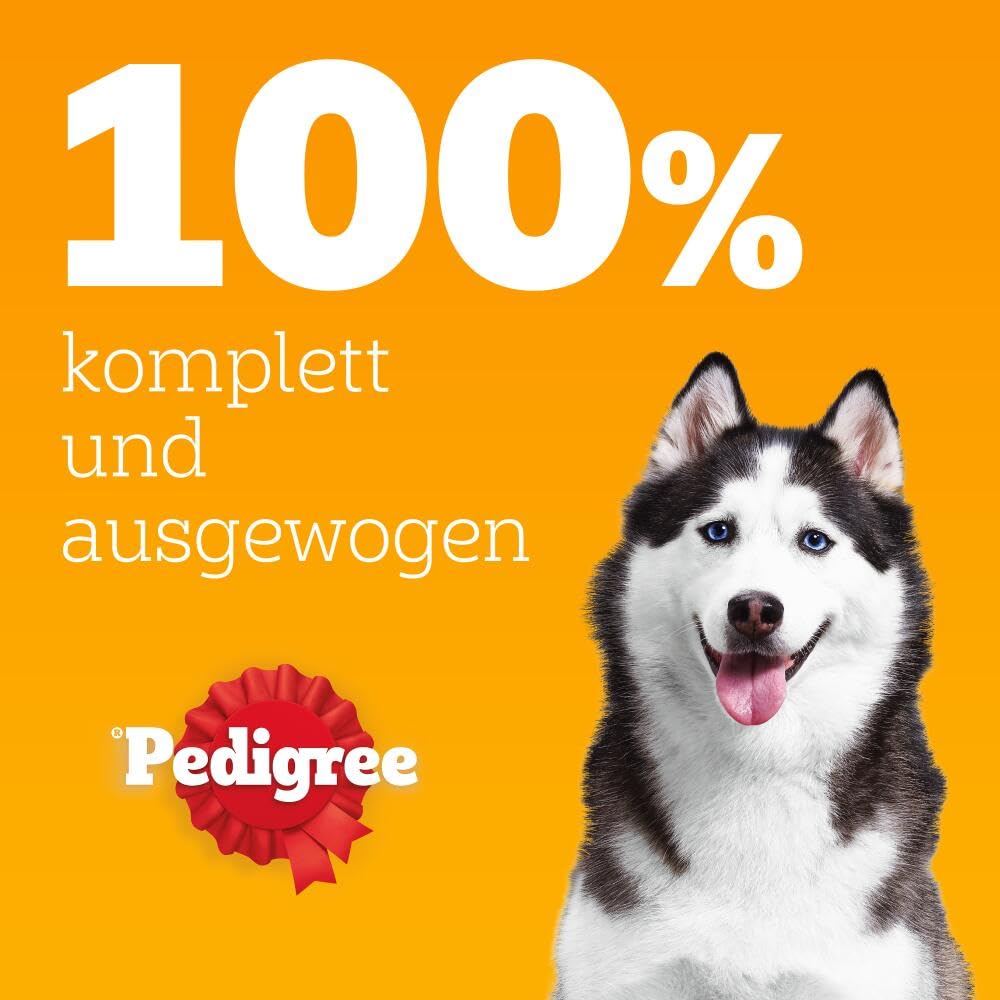 PEDIGREE DOGCARE Hundefutter Portionsbeutel Chunks in Soße Adult 40 x 100g