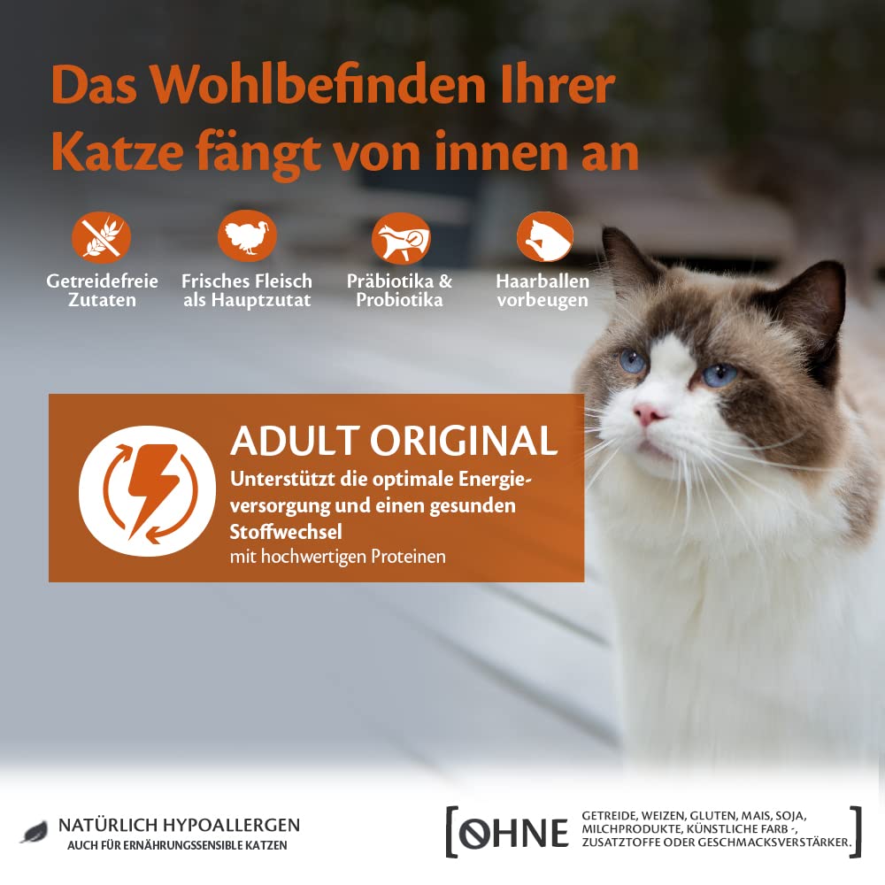 Wellness CORE Sterilised Ocean 4 kg, Lachs – Katzenfutter Trocken für sterilisierte Katzen, getreidefrei, natürlich, hypoallergen, proteinreich, unterstützt gesunde Haut und glänzendes Fell
