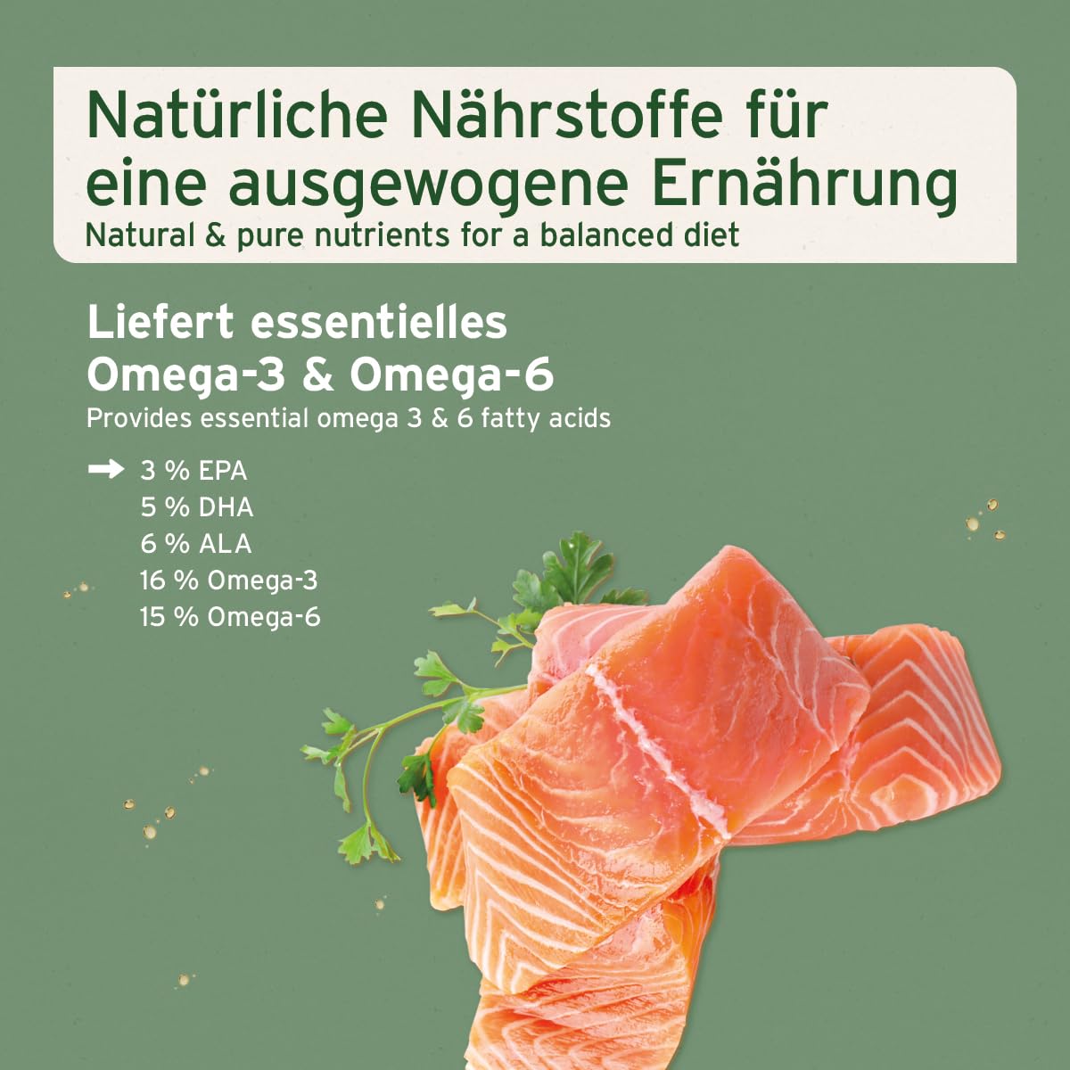 VERGLEICHSSIEGER SEHR GUT 2025 AniForte Lachsöl Hunde 1 Liter – Reich an Omega 3 & 6, Fischöl Hund hochdosiert, echte Lebensmittelqualität ohne Zusätze, frisch abgefüllt in Deutschland