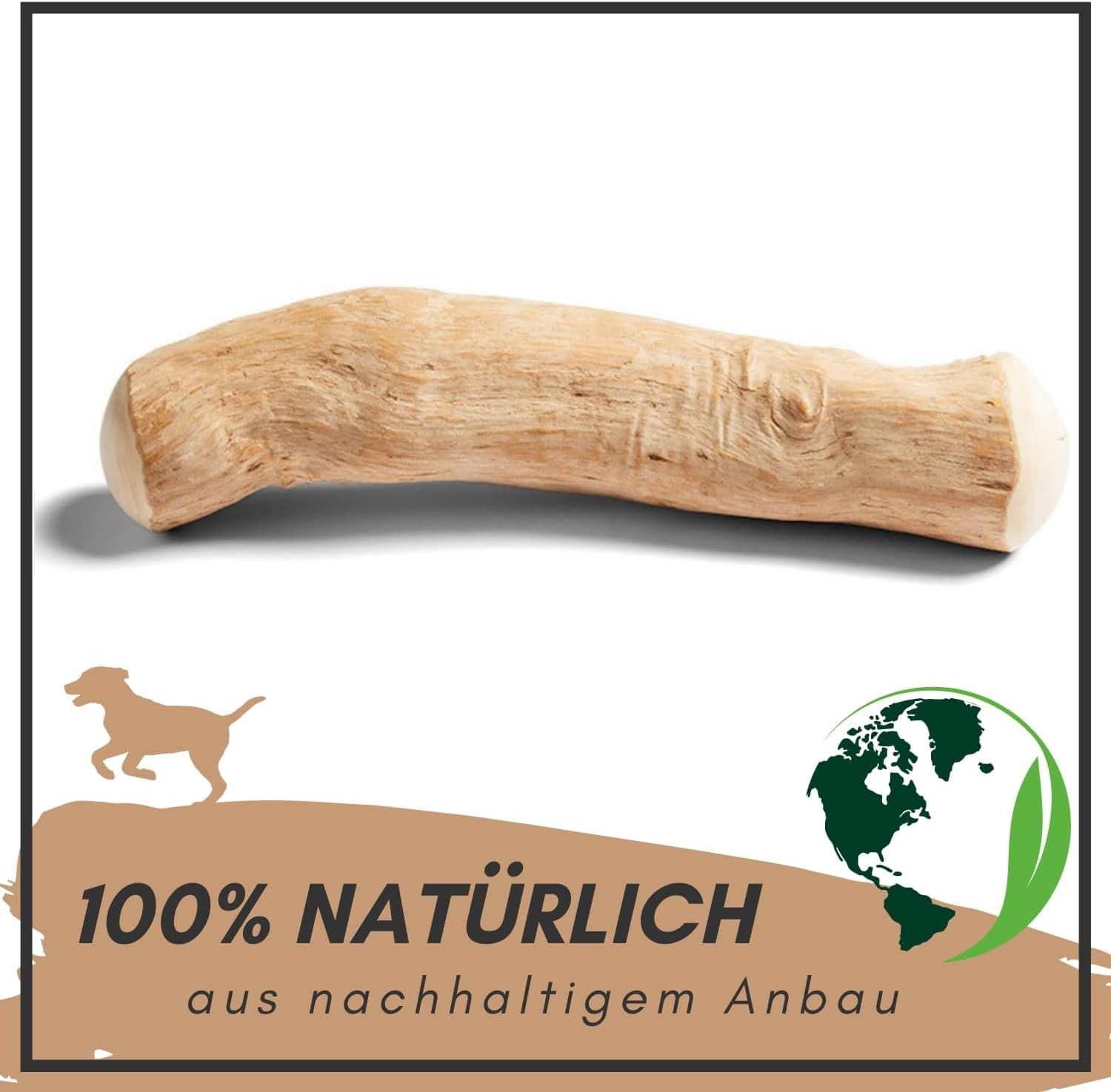 Supravit Natürlicher Kauknochen aus Kaffeeholz für Welpen XS | Mehr als EIN Holzstäbchen - spannendes Welpen Kauspielzeug & langanhaltende Beschäftigung | Kaustab Kauholz