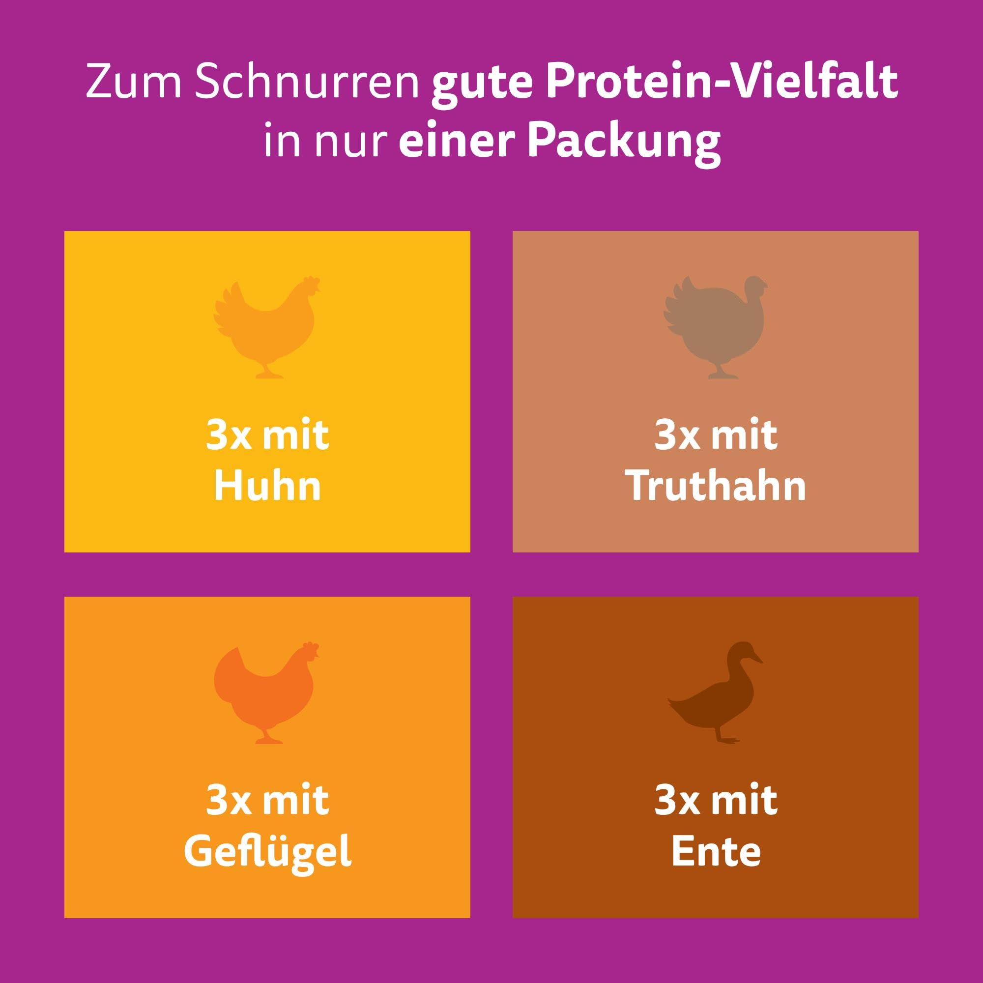 Whiskas Senior 7+ Katzennassfutter Gemischte Auswahl in Sauce, 48 Portionsbeutel, 12x85g (4er Pack) – Hochwertiges Katzenfutter nass, für Katzen ab 7 Jahren und älter