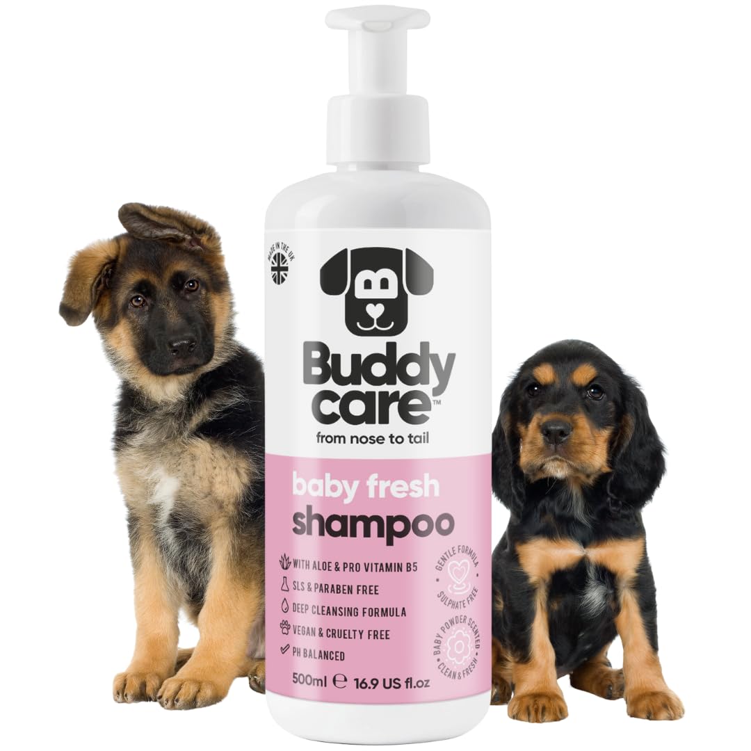 2in1 Hundeshampoo und Conditioner von Buddycare (500ml) - Praktisches Hundeshampoo langhaar und welpen Shampoo Mit Aloe Vera und Pro-Vitamin B5 Rückfettendes Shampoo Für Alle Hunderassen