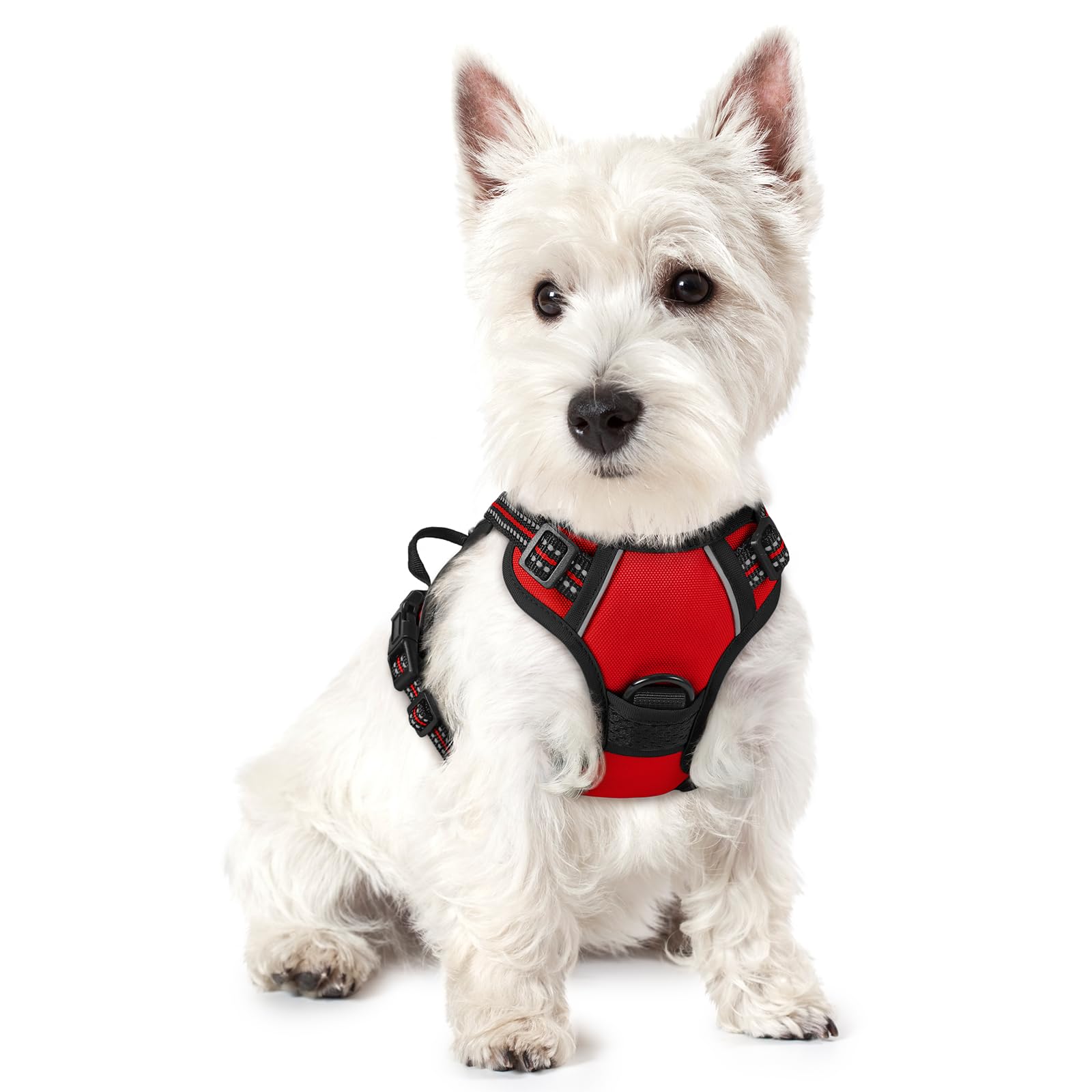 rabbitgoo Hundegeschirr Grosse Hunde, Anti Zug Geschirr mit Kontrolle, No Pull Verstellbar Hundegeschirr Mittelgroße Hunde, Atmungsaktiv Reflexstreifen Brustgeschirr Sichere Führung, Schwarz, L