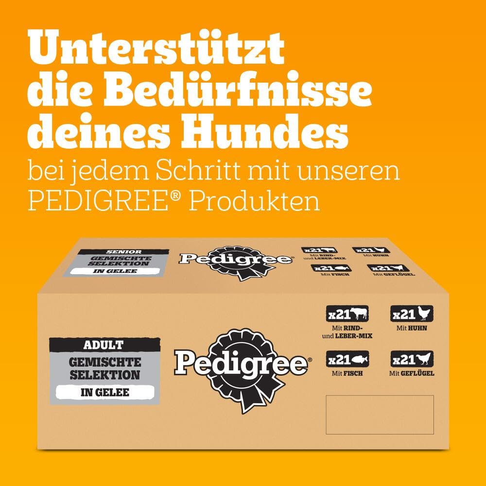PEDIGREE DOGCARE Hundefutter Portionsbeutel Chunks in Soße Adult 40 x 100g