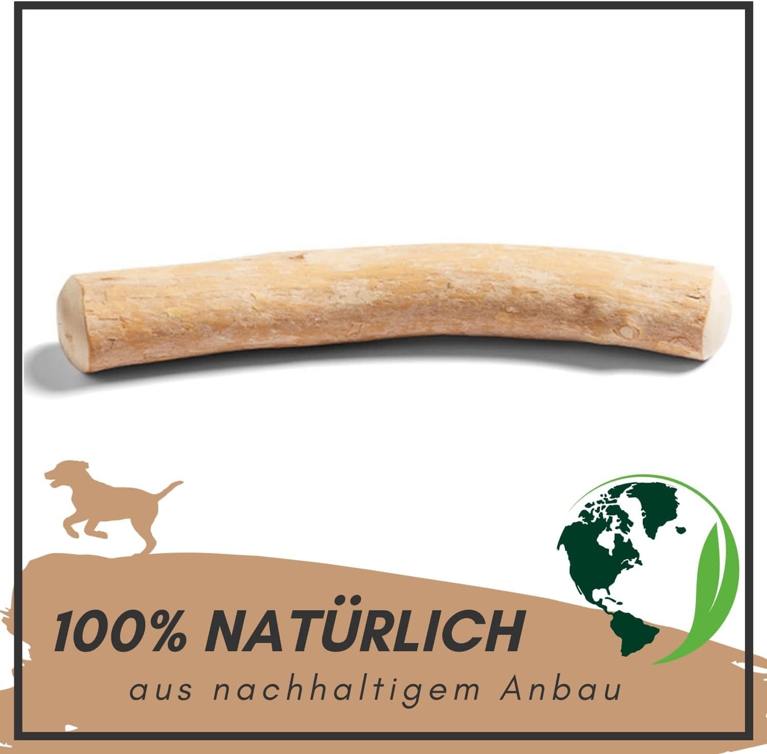 Supravit Natürlicher Kauknochen aus Kaffeeholz für Welpen XS | Mehr als EIN Holzstäbchen - spannendes Welpen Kauspielzeug & langanhaltende Beschäftigung | Kaustab Kauholz