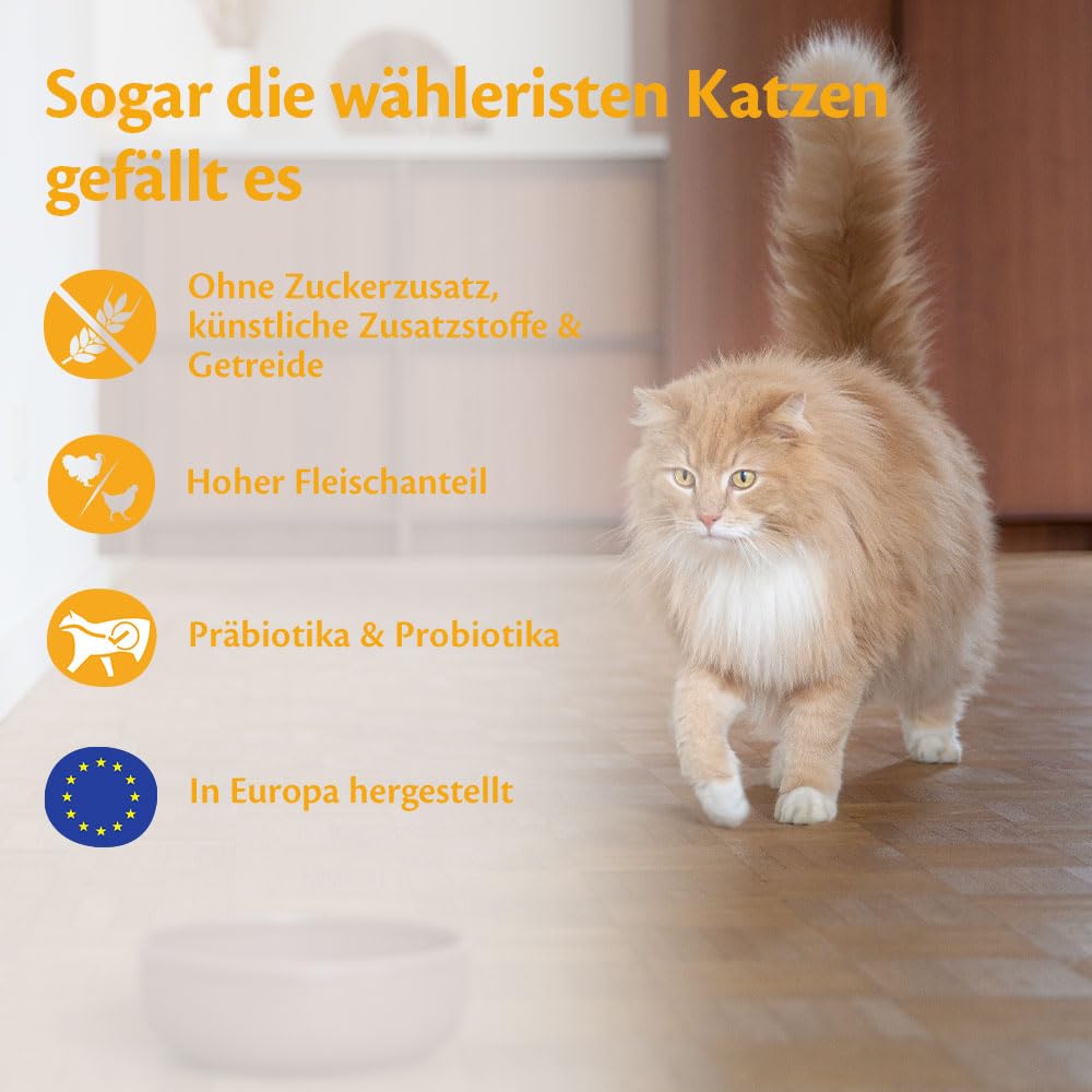 Wellness CORE Sterilised Ocean 4 kg, Lachs – Katzenfutter Trocken für sterilisierte Katzen, getreidefrei, natürlich, hypoallergen, proteinreich, unterstützt gesunde Haut und glänzendes Fell