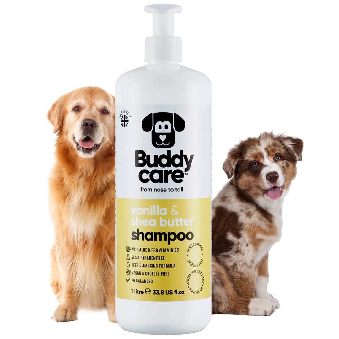 2in1 Hundeshampoo und Conditioner von Buddycare (500ml) - Praktisches Hundeshampoo langhaar und welpen Shampoo Mit Aloe Vera und Pro-Vitamin B5 Rückfettendes Shampoo Für Alle Hunderassen