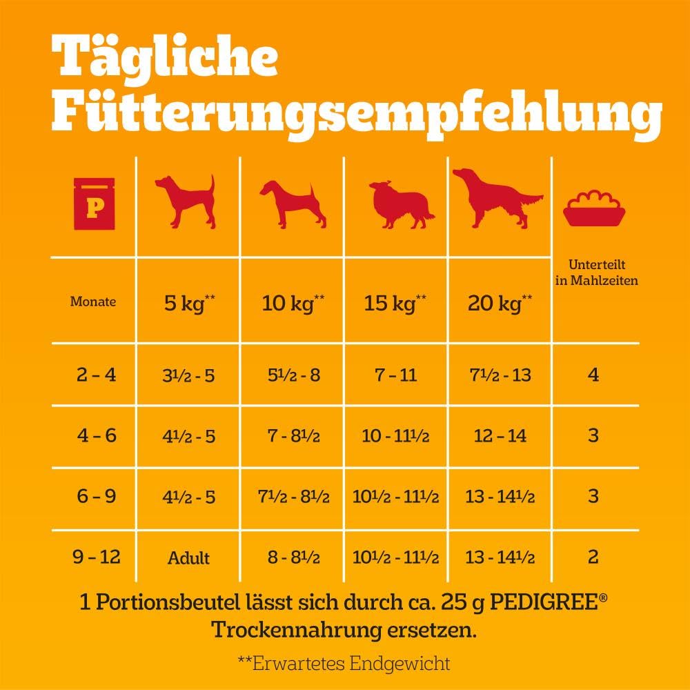 PEDIGREE DOGCARE Hundefutter Portionsbeutel Chunks in Soße Adult 40 x 100g