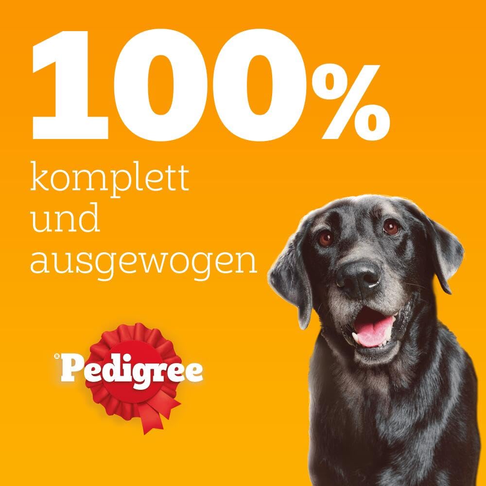 PEDIGREE DOGCARE Hundefutter Portionsbeutel Chunks in Soße Adult 40 x 100g
