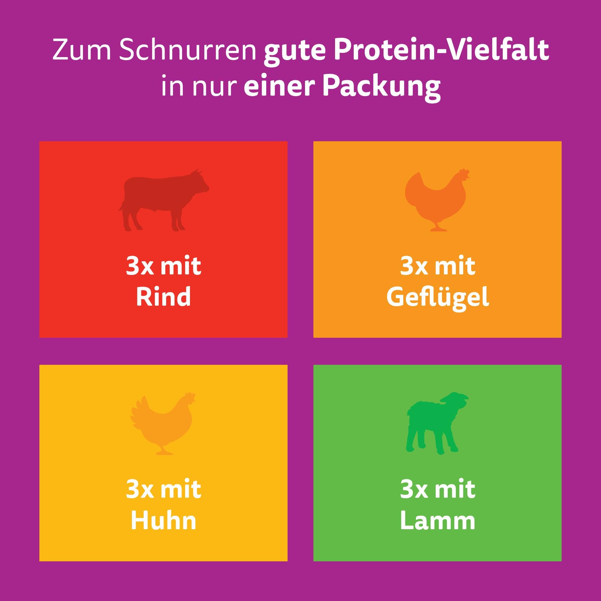 Whiskas Senior 7+ Katzennassfutter Gemischte Auswahl in Sauce, 48 Portionsbeutel, 12x85g (4er Pack) – Hochwertiges Katzenfutter nass, für Katzen ab 7 Jahren und älter