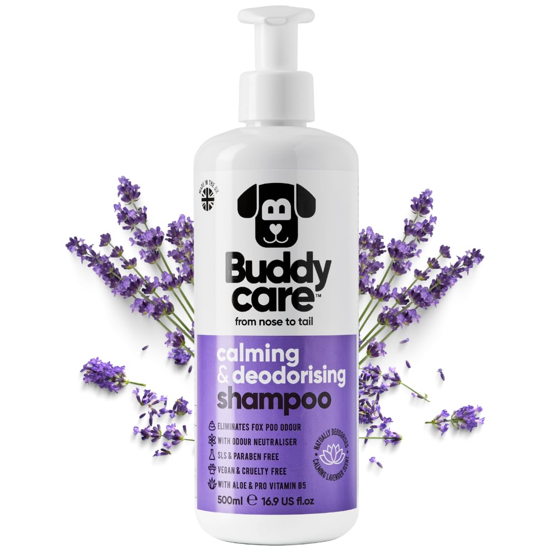 2in1 Hundeshampoo und Conditioner von Buddycare (500ml) - Praktisches Hundeshampoo langhaar und welpen Shampoo Mit Aloe Vera und Pro-Vitamin B5 Rückfettendes Shampoo Für Alle Hunderassen