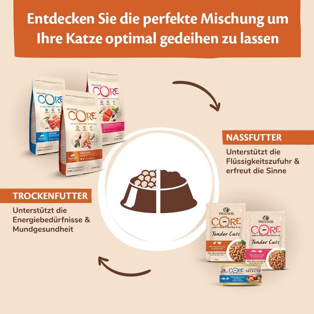 Wellness CORE Sterilised Ocean 4 kg, Lachs – Katzenfutter Trocken für sterilisierte Katzen, getreidefrei, natürlich, hypoallergen, proteinreich, unterstützt gesunde Haut und glänzendes Fell