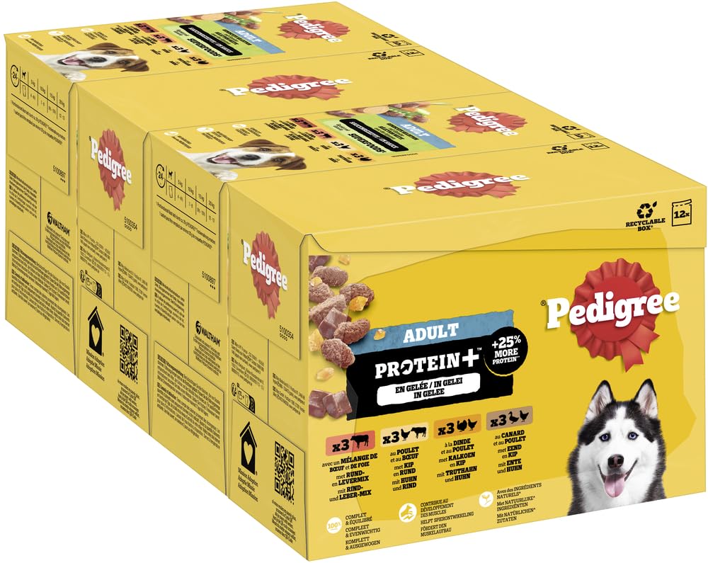 PEDIGREE DOGCARE Hundefutter Portionsbeutel Chunks in Soße Adult 40 x 100g