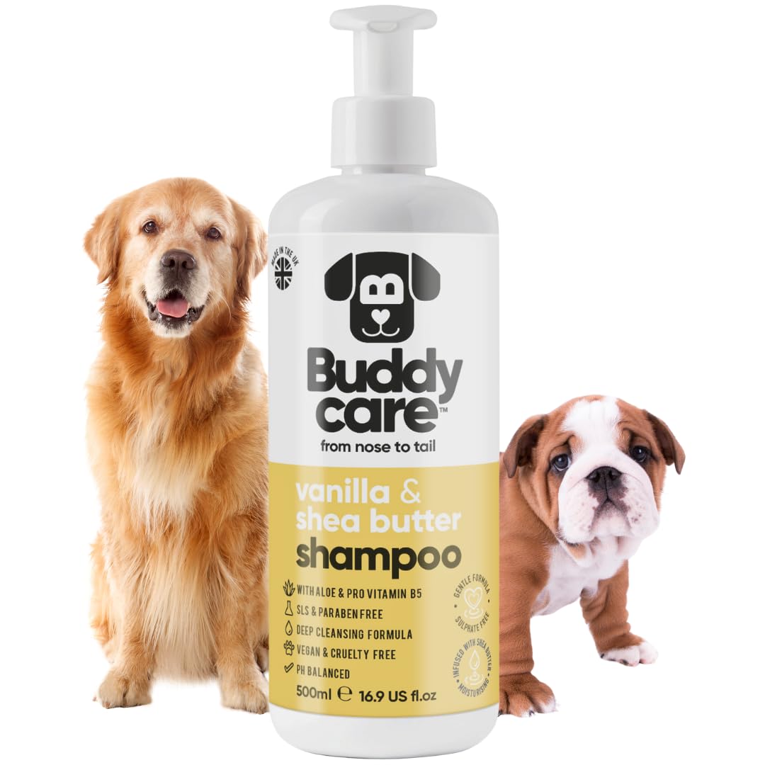 2in1 Hundeshampoo und Conditioner von Buddycare (500ml) - Praktisches Hundeshampoo langhaar und welpen Shampoo Mit Aloe Vera und Pro-Vitamin B5 Rückfettendes Shampoo Für Alle Hunderassen