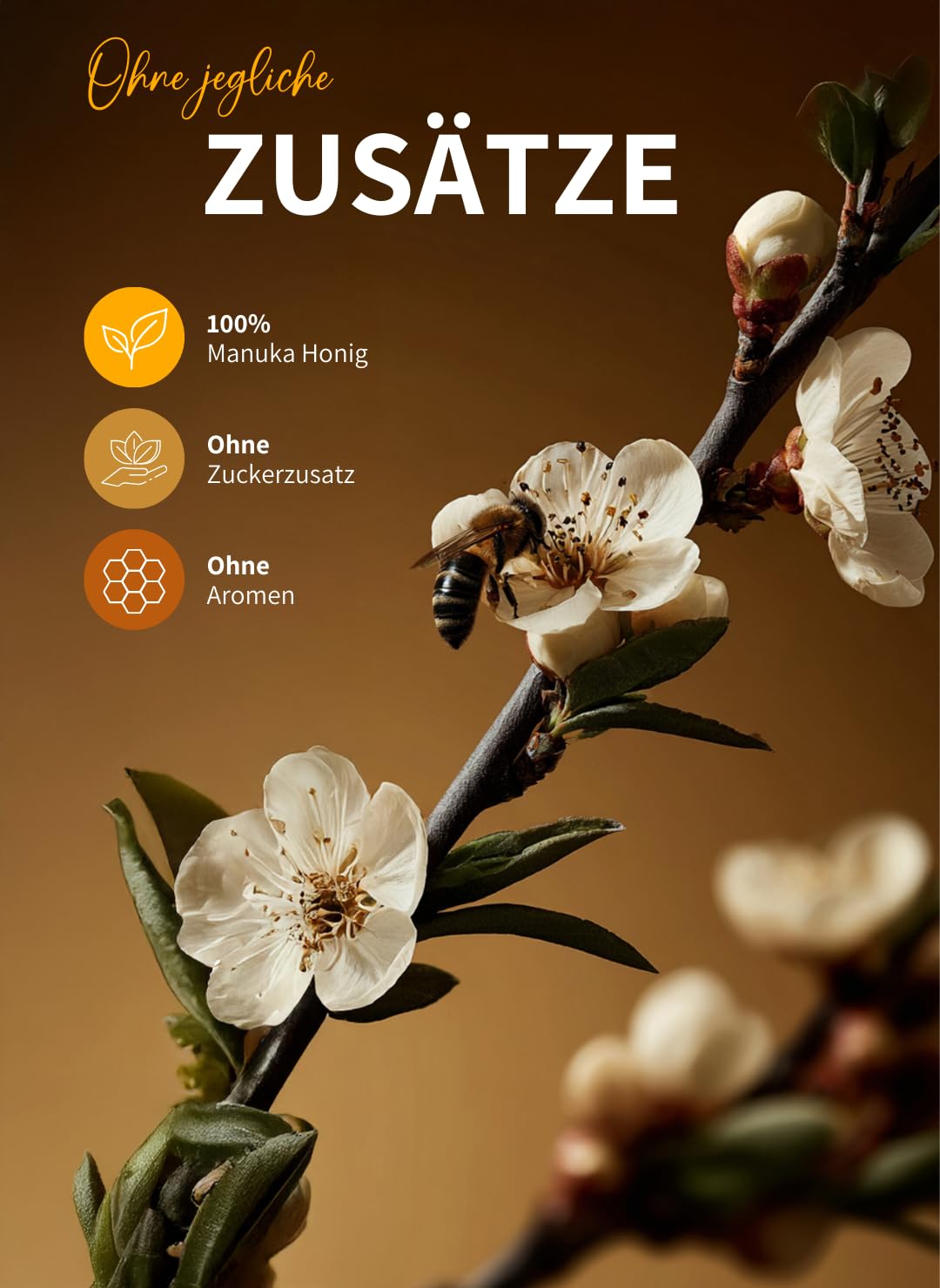 bedrop Manuka Honig mit MGO 500+ XXL Glas - 100% echter Premium Manukahonig aus Neuseeland mit zertifiziertem Methylglyoxal Gehalt (Analyse-Zertifikat) - 140g