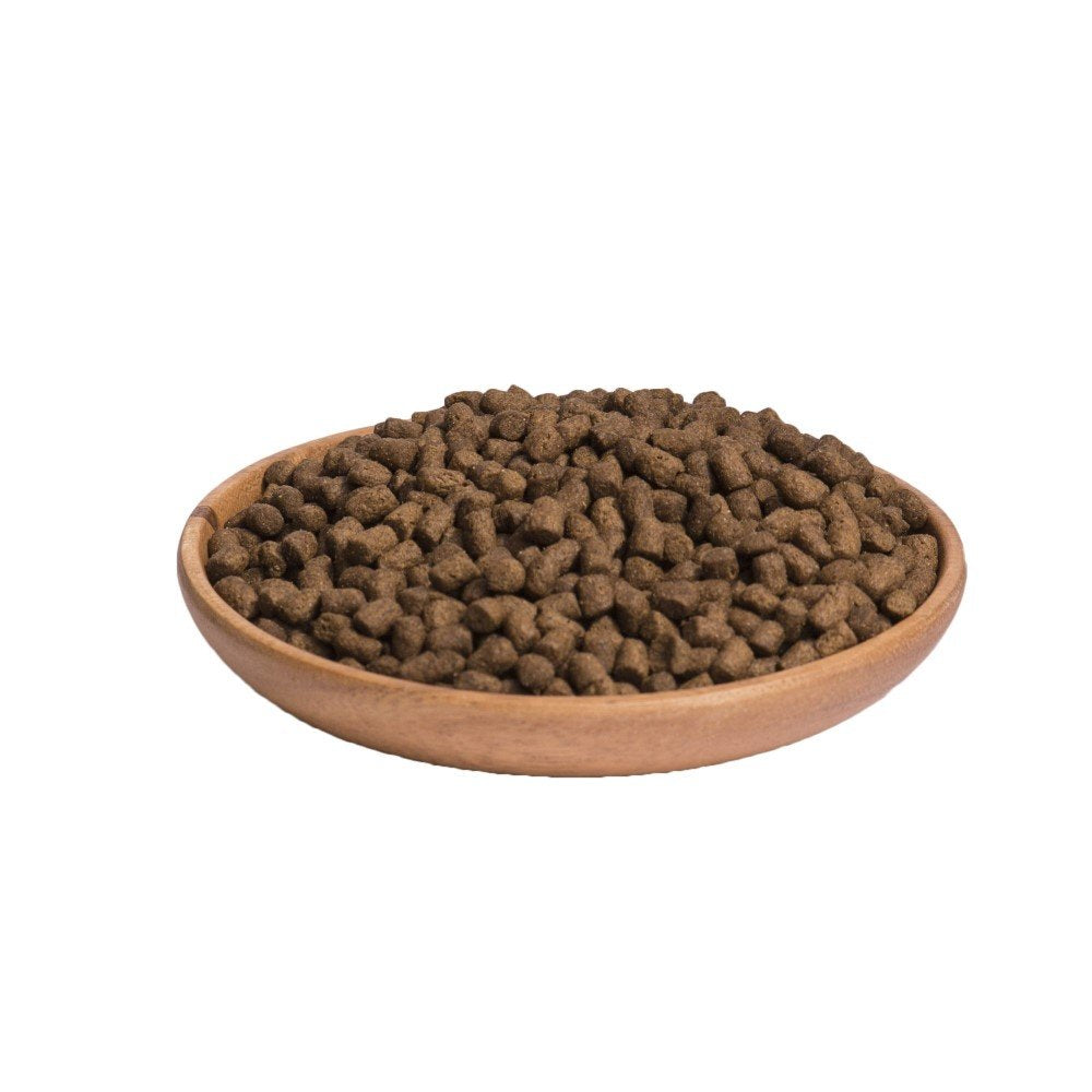 Wellness CORE Sterilised Ocean 4 kg, Lachs – Katzenfutter Trocken für sterilisierte Katzen, getreidefrei, natürlich, hypoallergen, proteinreich, unterstützt gesunde Haut und glänzendes Fell