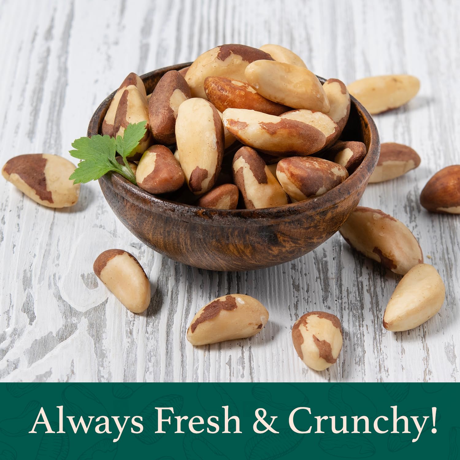 Premium Wild Harvested Raw Brazil Nuts, 1 lb (16oz) – High Selenium, Batch Tested Peanut & Gluten Free, Non-GMO, Kosher, Resealable Bag