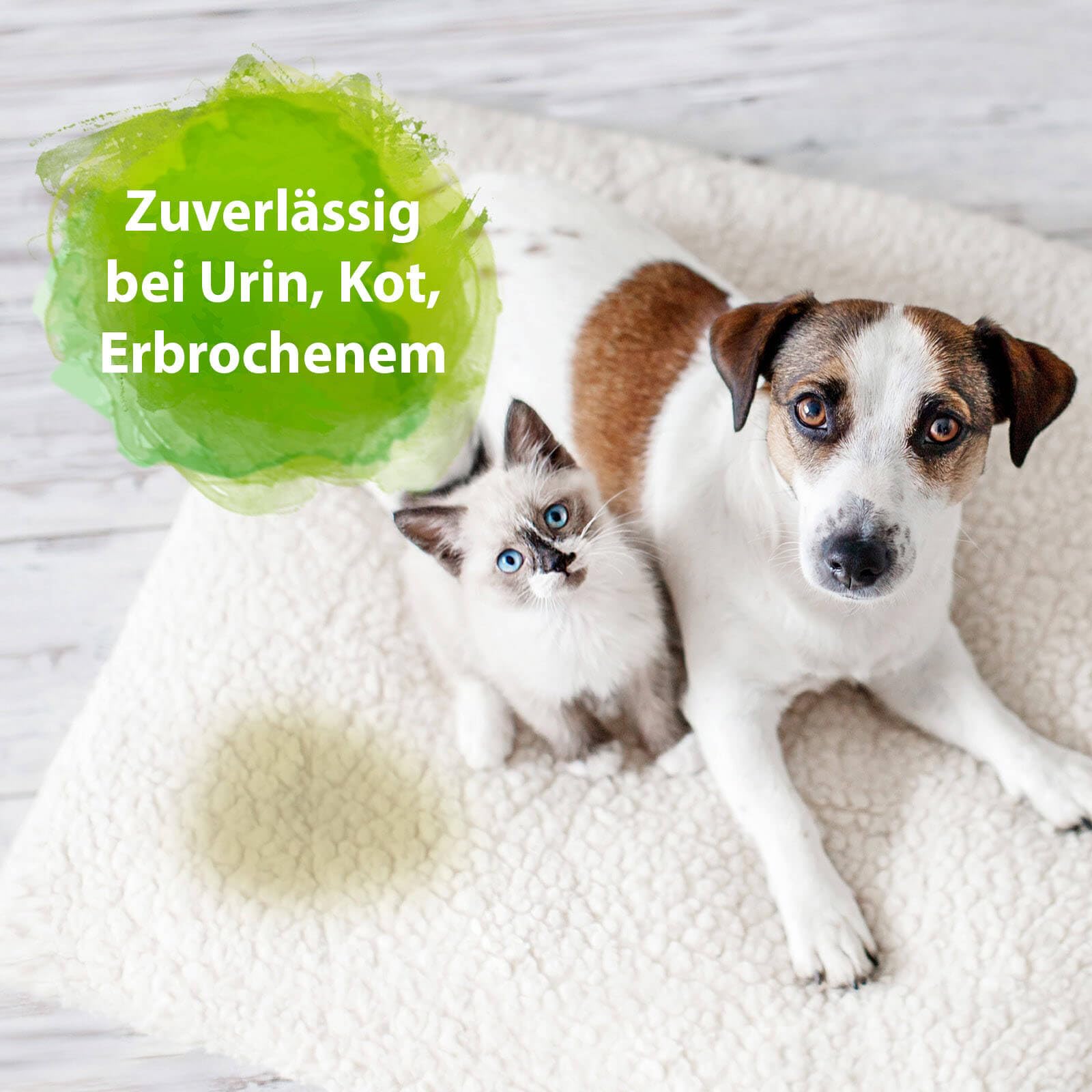 Bactador Enzymreiniger Konzentrat 1L - Geruchsentferner & Fleckenentferner - Mikrobiologischer Geruchsneutralisierer - Hundeurin / Katzenurin Entferner - Porentiefe Reinigung - Ergibt bis zu 50 Liter