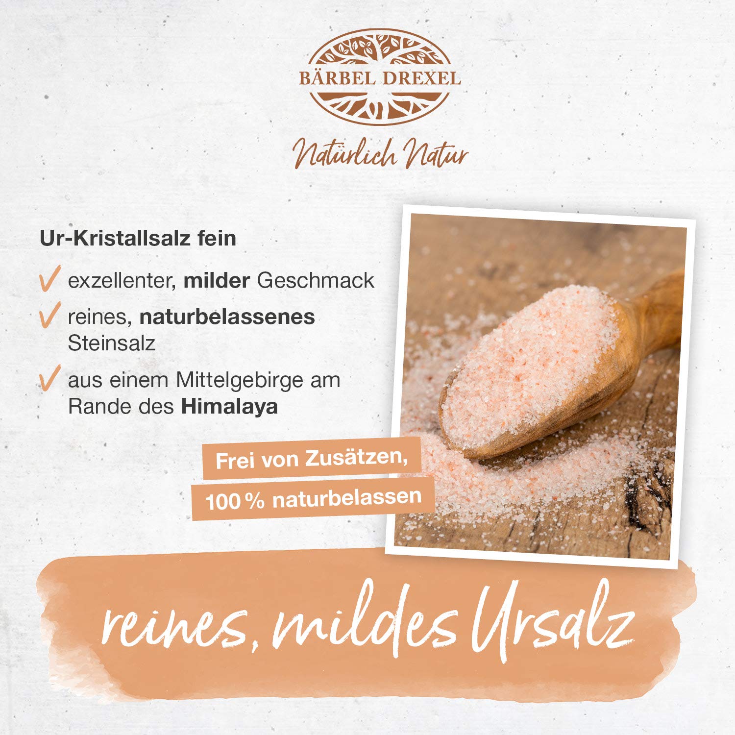 BÄRBEL DREXEL® Rosa Kristallsalz (Tiefebenen Rand Himalaya) FEIN, feines Natursalz (750g) Für Feinschmecker, 100% Veganes Speisesalz, Reines Steinsalz, Naturbelassen Unbehandelt, Ur-Salz
