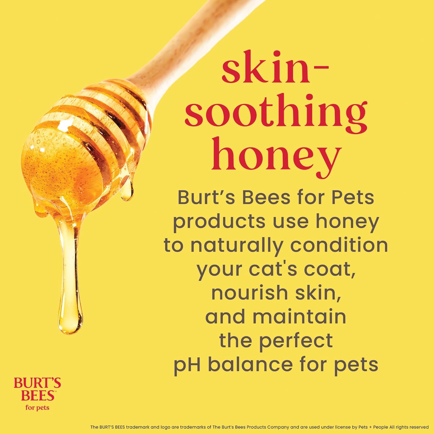 Burt's Bees Tearless Kitten Shampoo with Buttermilk