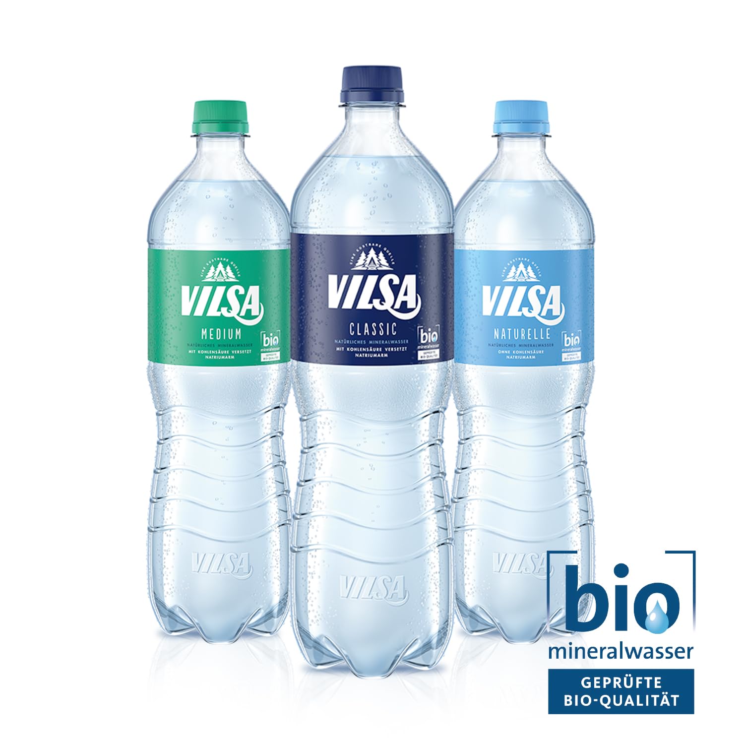 VILSA Mineralwasser Classic, 6 x 1,00 l PET (Packung mit 4)