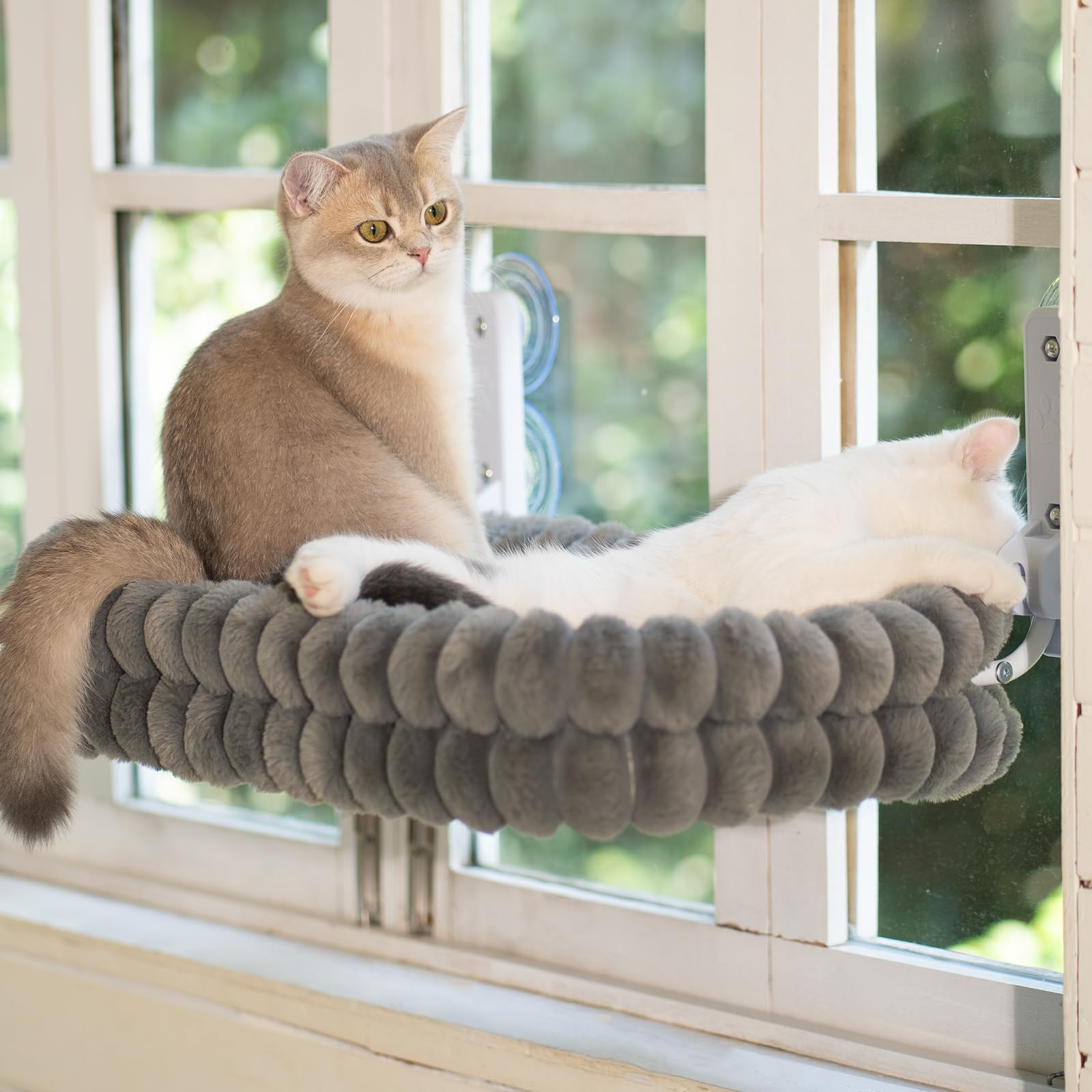 CheerPals Katzen Fensterliege, Weich Abnehmbarem Wendebezug Hängematte, Faltbare Katzenliege, Fenster Katzenbett mit Stabiles Stahlgestell und Saugnäpfe, Halt bis 18kg