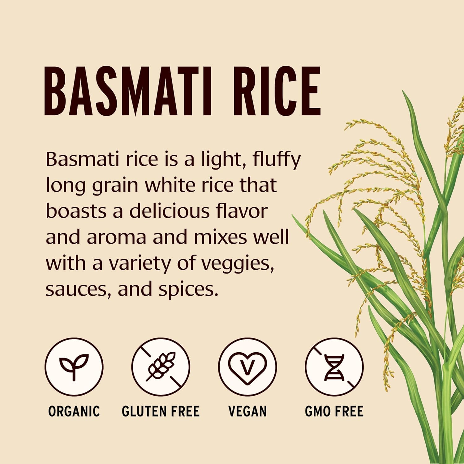 Banyan Botanicals White Basmati Rice – Organic & Pure Basmati Rice for Cooking Healthy Meals and Making Kitchari – With Resealable Zipper Bag – 2 lbs – Non-GMO Sustainably Sourced Vegan