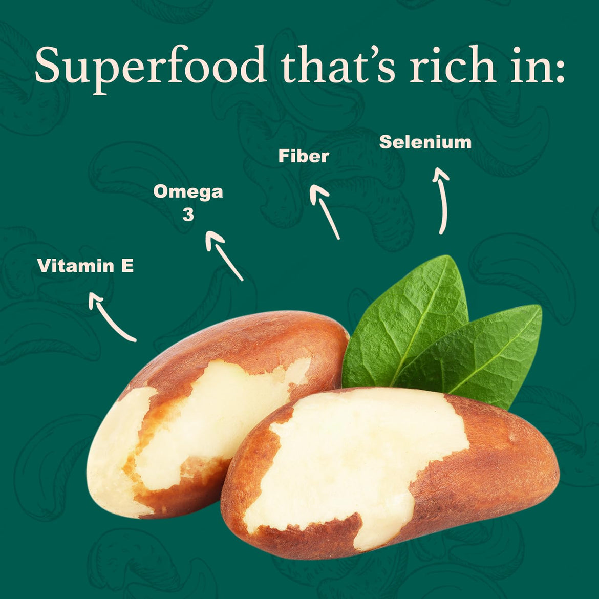 Premium Wild Harvested Raw Brazil Nuts, 1 lb (16oz) – High Selenium, Batch Tested Peanut & Gluten Free, Non-GMO, Kosher, Resealable Bag