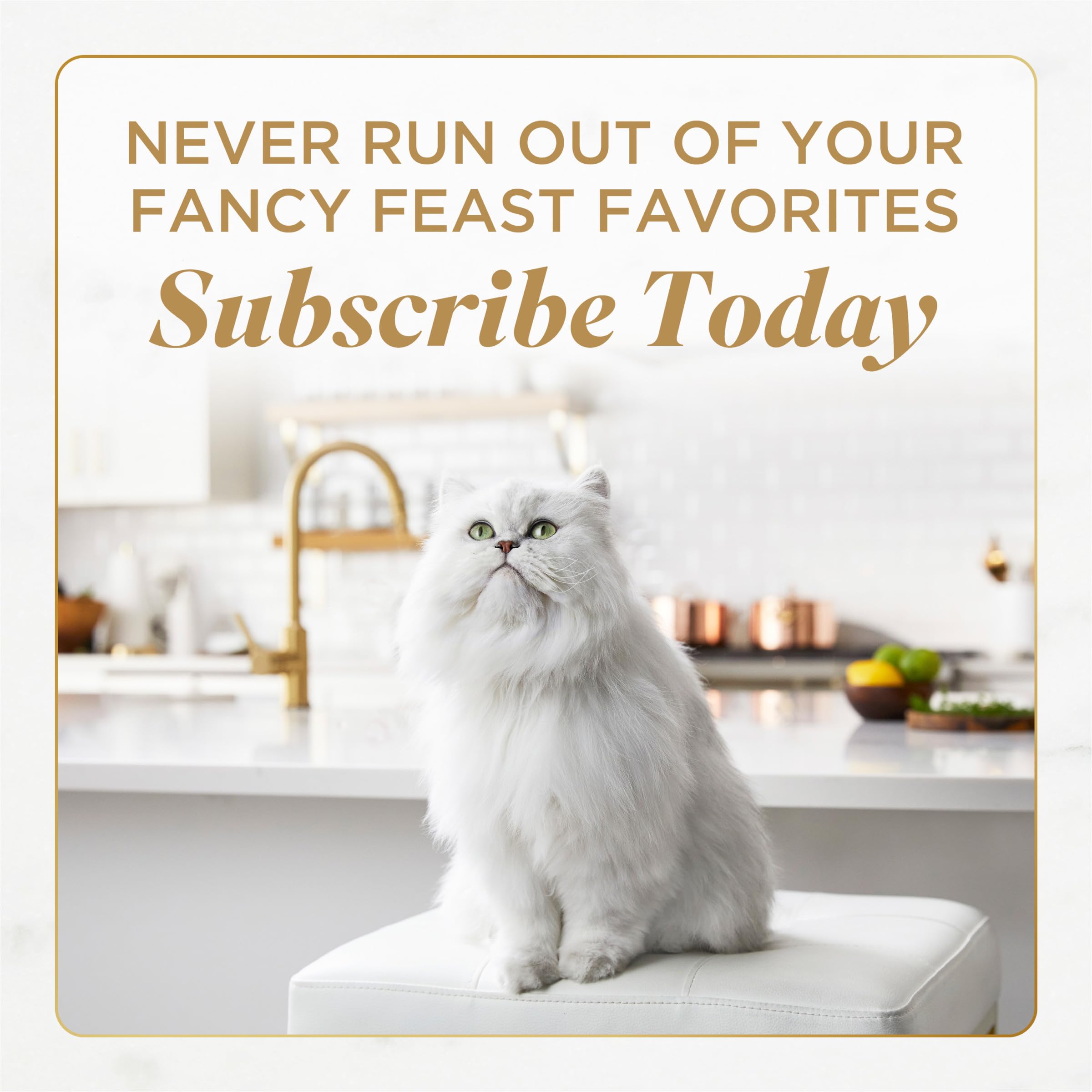 Purina Fancy Feast Savory Centers Wet Cat Food Pate Variety Pack With Chicken, Salmon, Beef, and Tuna Pate with Gravy Center - (2 Packs of 12) 3 oz. Pull-Top Cans