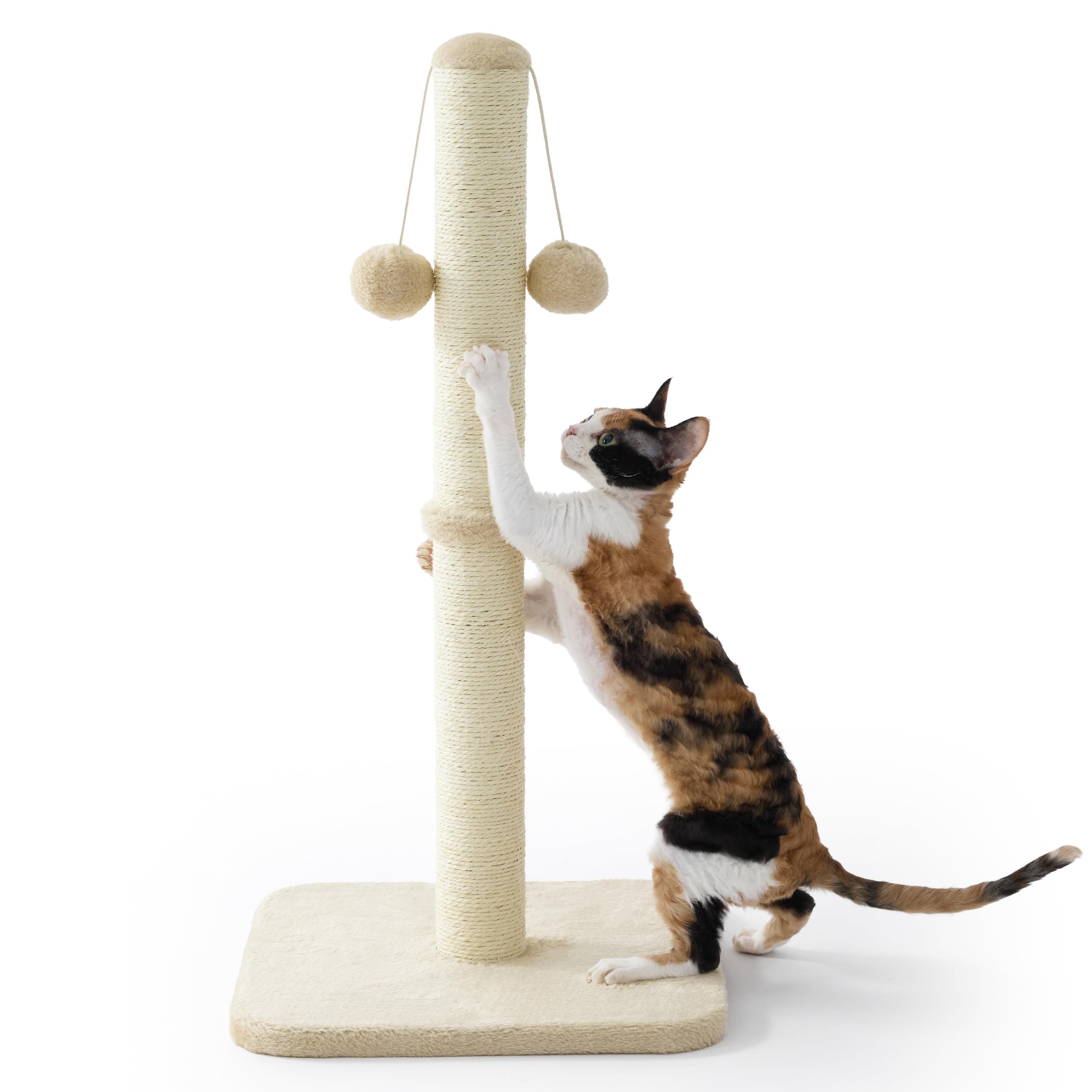 Lesure Kratzsäule Mittelgroßer für Katzen Indoor - 36x36x74cm Kratzstamm mit Hängendem Spielball, Kleiner Kratzbaum mit Sisalseil, Stabile Basis Kratzsäule, Grau