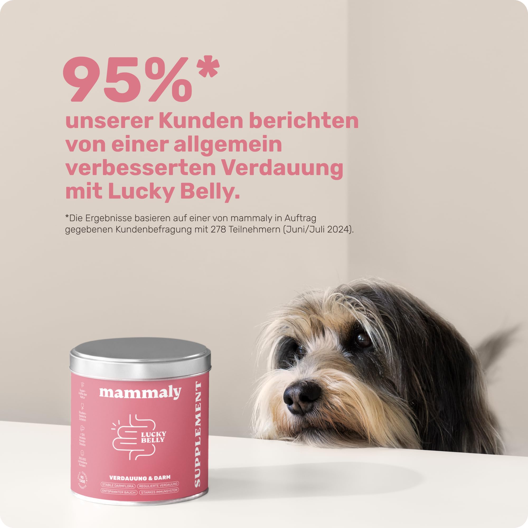 9-in-1 Probiotika für Deinen Hund - Lucky Belly Hypoallergen Allergie Fit ohne Huhn 120 Drops (350g) von mammaly-Bei Magenprobleme & Verdauungsprobleme für Magen-Darm,Verdauungssnacks bei Gras fressen