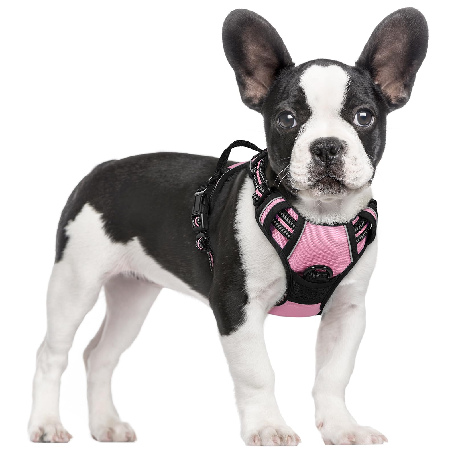 rabbitgoo Hundegeschirr Grosse Hunde, Anti Zug Geschirr mit Kontrolle, No Pull Verstellbar Hundegeschirr Mittelgroße Hunde, Atmungsaktiv Reflexstreifen Brustgeschirr Sichere Führung, Schwarz, L