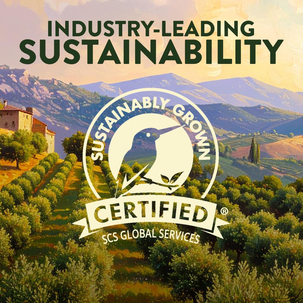 Pompeian Robust Extra Virgin Olive Oil, Contains Polyphenols, First Cold Pressed, 68 Fl Oz